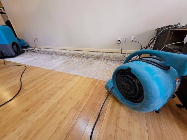 Professional Ceiling Water Damage Repair technician working in Colon, MI
