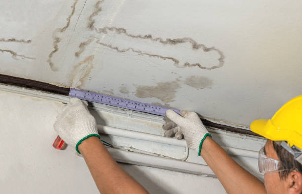 Affordable Ceiling Water Damage Repair solutions in Colon, MI